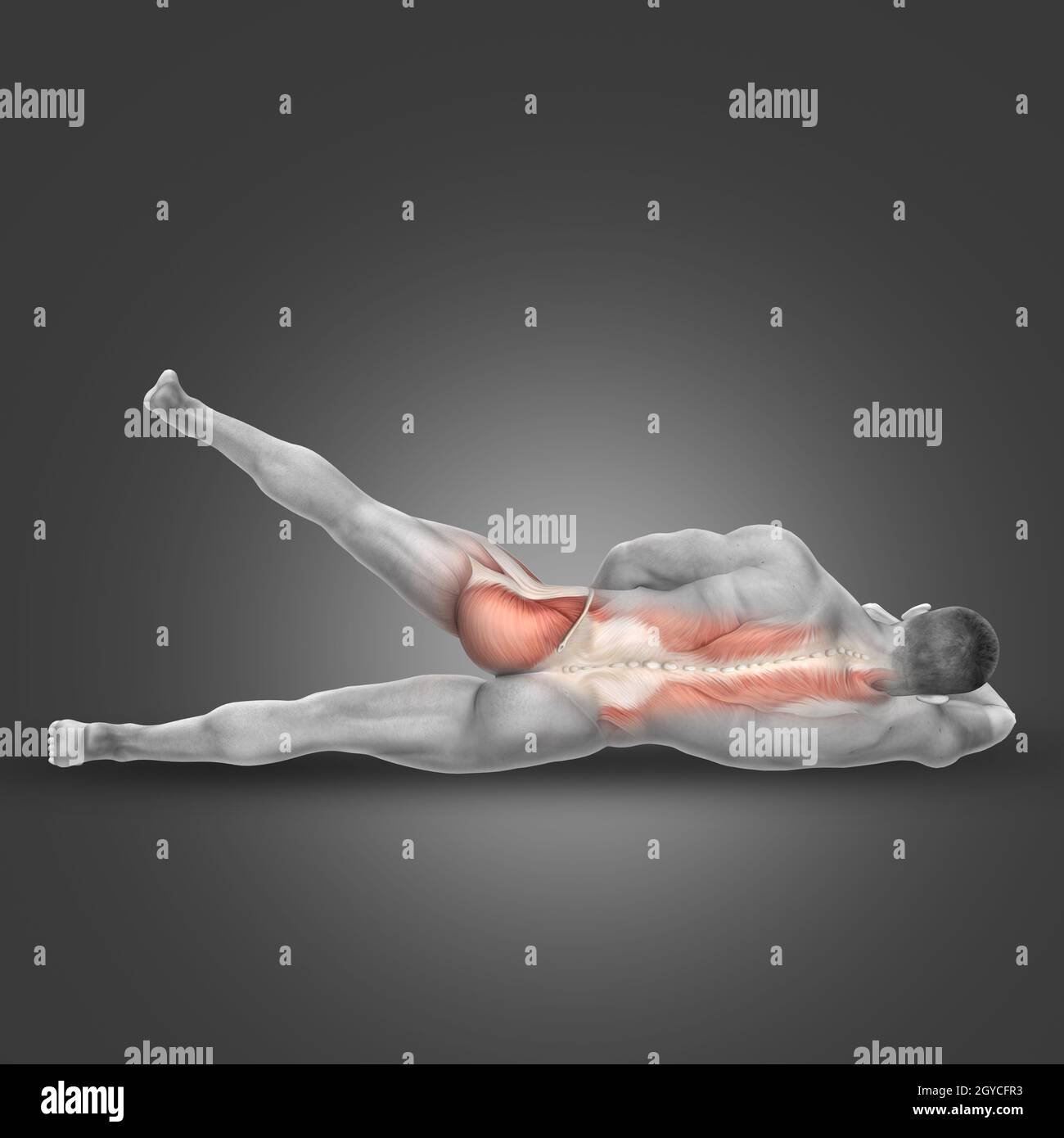 Lying down hip abduction hotsell