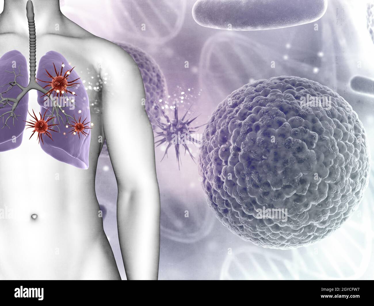 3D render of a medical background showing virus cells in male figures lungs Stock Photo