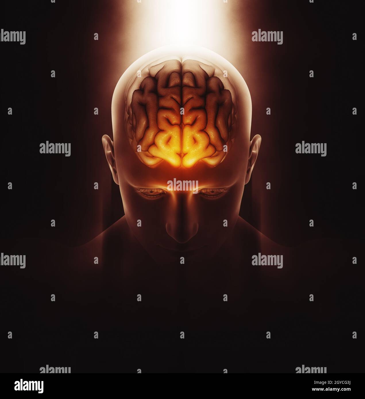3D render of a medical image of a male figure with brain highlighted and dramatic highlighted Stock Photo