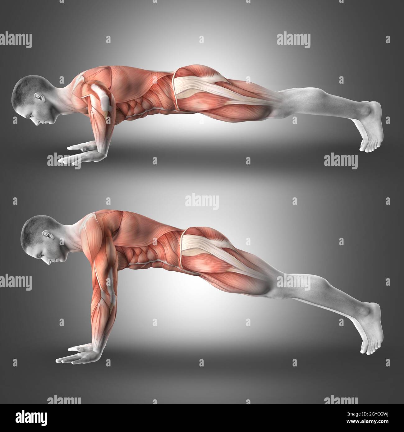 Silhouette with man push ups initial pose Vector Image