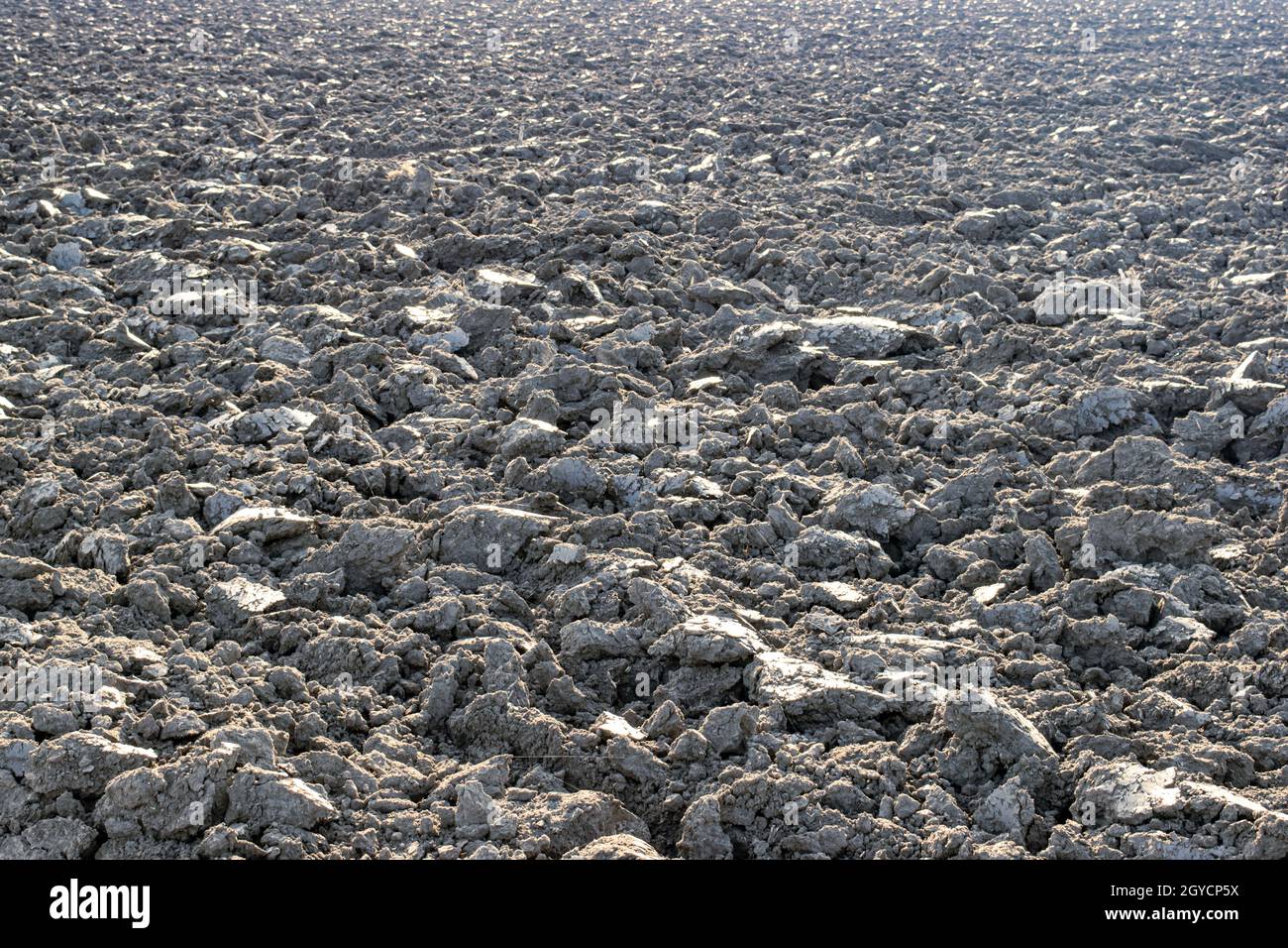 Gray soil, soil clod, dry soil, soil lump Stock Photo Alamy