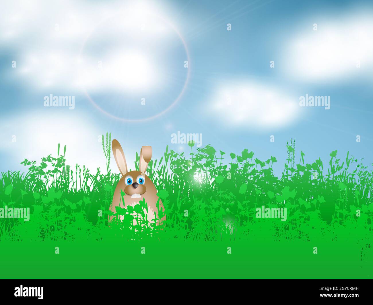 Easter bunny hiding in the grass hi-res stock photography and images ...