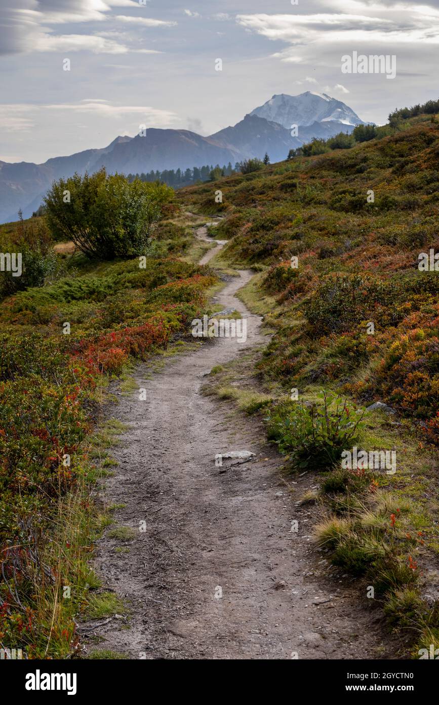 Beautiful mountain hiking trail into a autumn colored landscape Stock Photo
