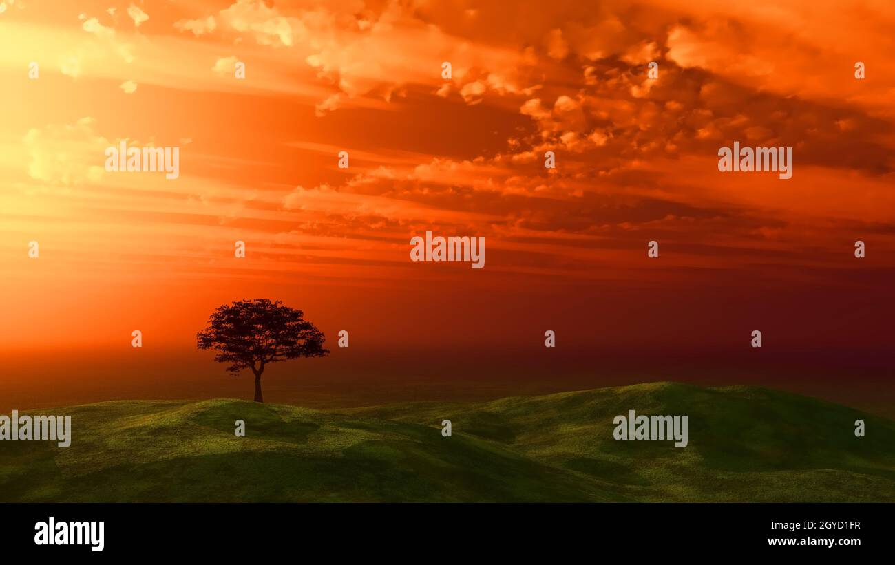 Tree silhouetted against a sunset sky Stock Photo - Alamy