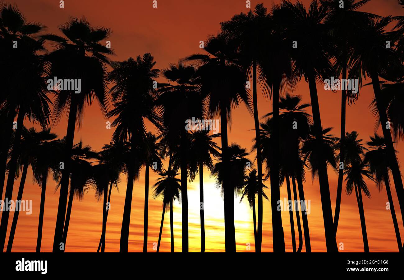 3d island palm trees hi-res stock photography and images - Alamy