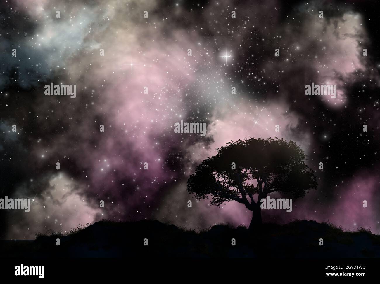 Silhouette of a tree against a sky with stars and nebula Stock Photo ...