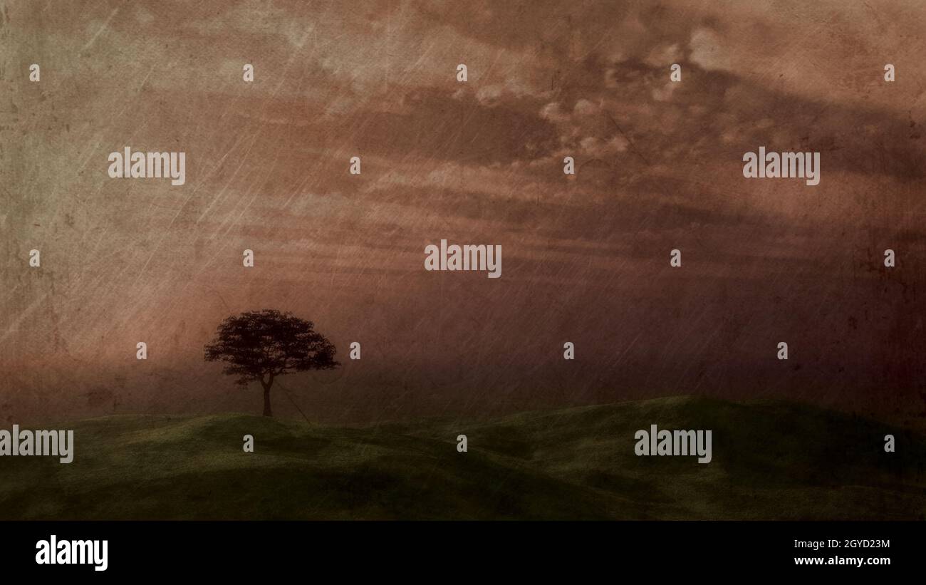 Tree silhouetted against a sunset sky with a vintage effect Stock Photo ...