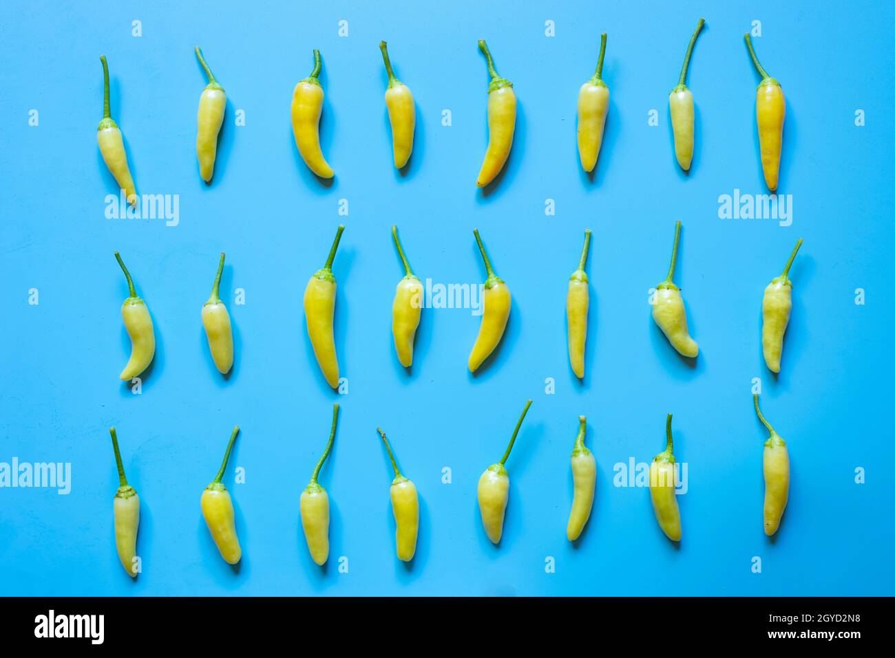 Pattern of small yellow hot peppers on light blue background Stock