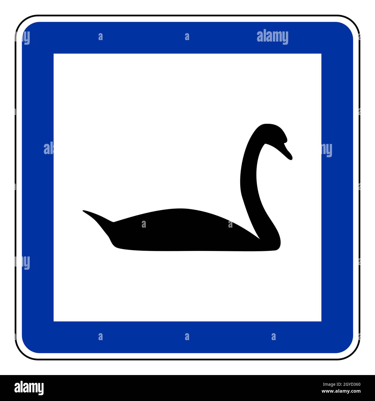 Swan and road sign Stock Photo