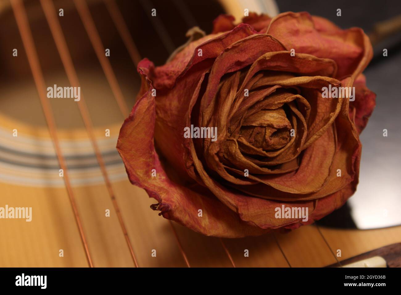 Classic Acoustic Guitar With Dried Roses Stock Photo - Alamy