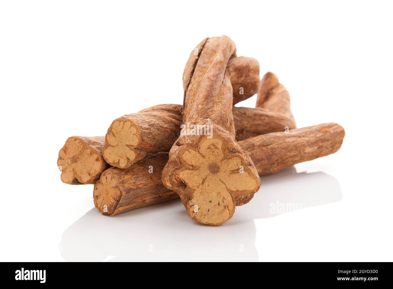 Ayahuasca vine. Banisteriopsis caapi wood isolated on white background. Shamanic plant medicine. Alternative theraphy. Entheogen. Stock Photo