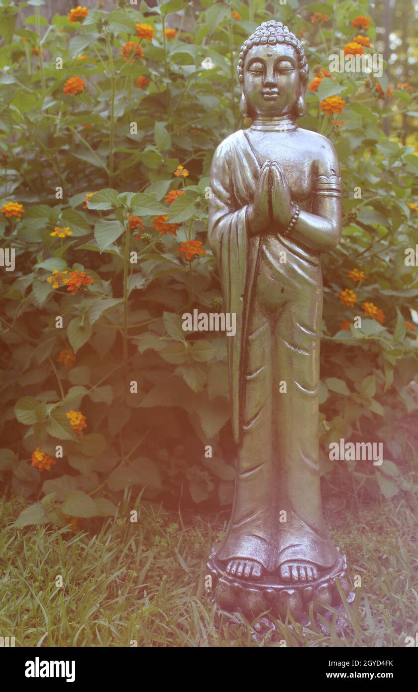 Buddha Statue in Garden with green plants in background Stock Photo - Alamy