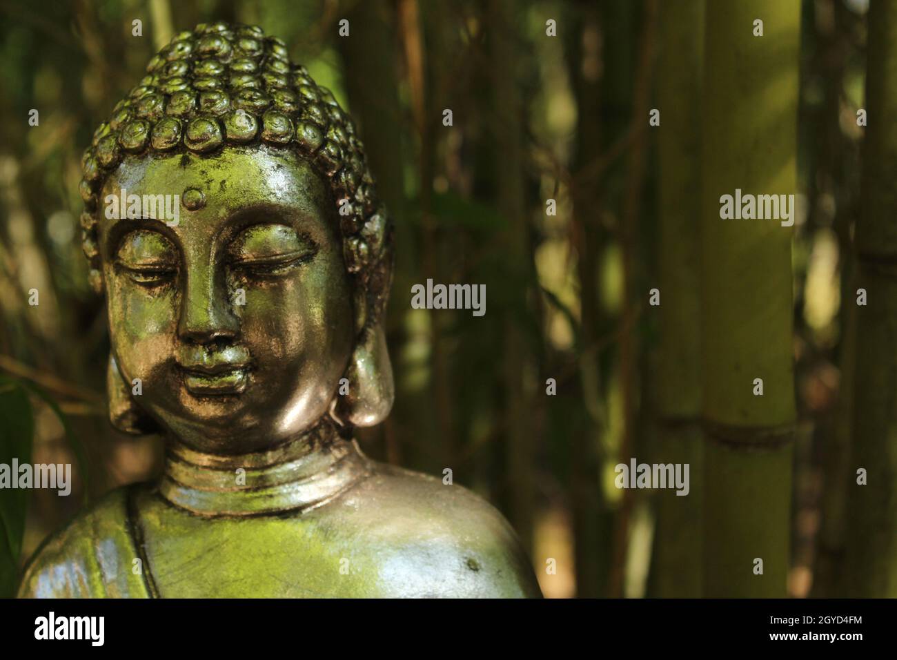 Buddha Statue in bamboo forest Stock Photo - Alamy
