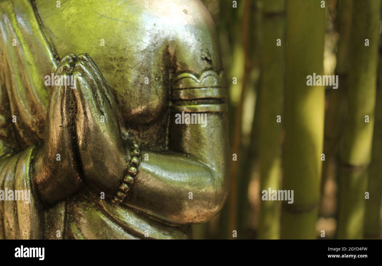 Buddha Statue in bamboo forest Stock Photo - Alamy