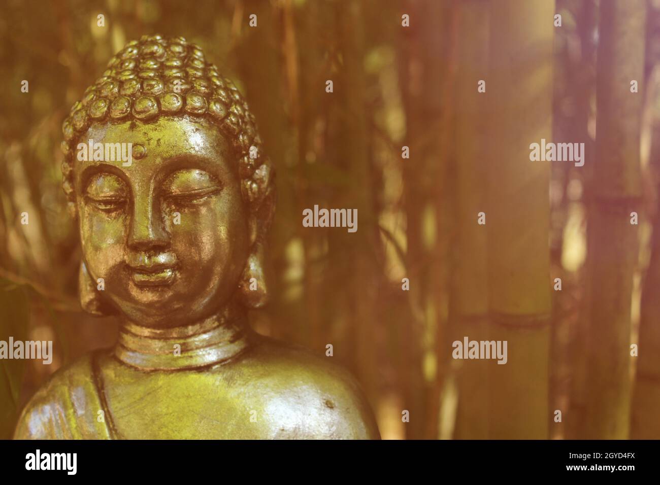 Buddha Statue in bamboo forest Stock Photo - Alamy