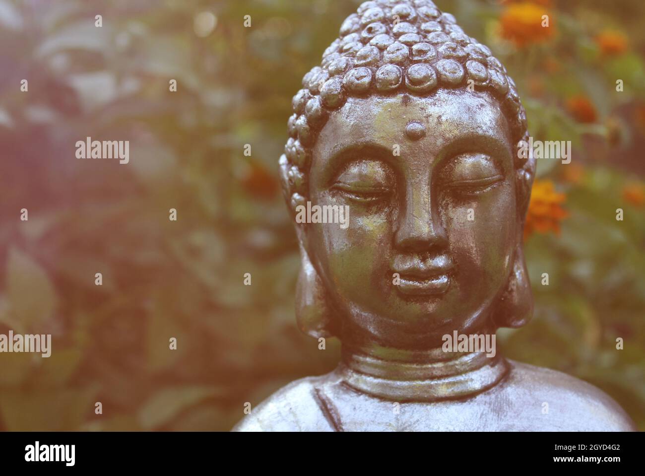 Buddha Statue in Garden with green plants in background Stock Photo - Alamy