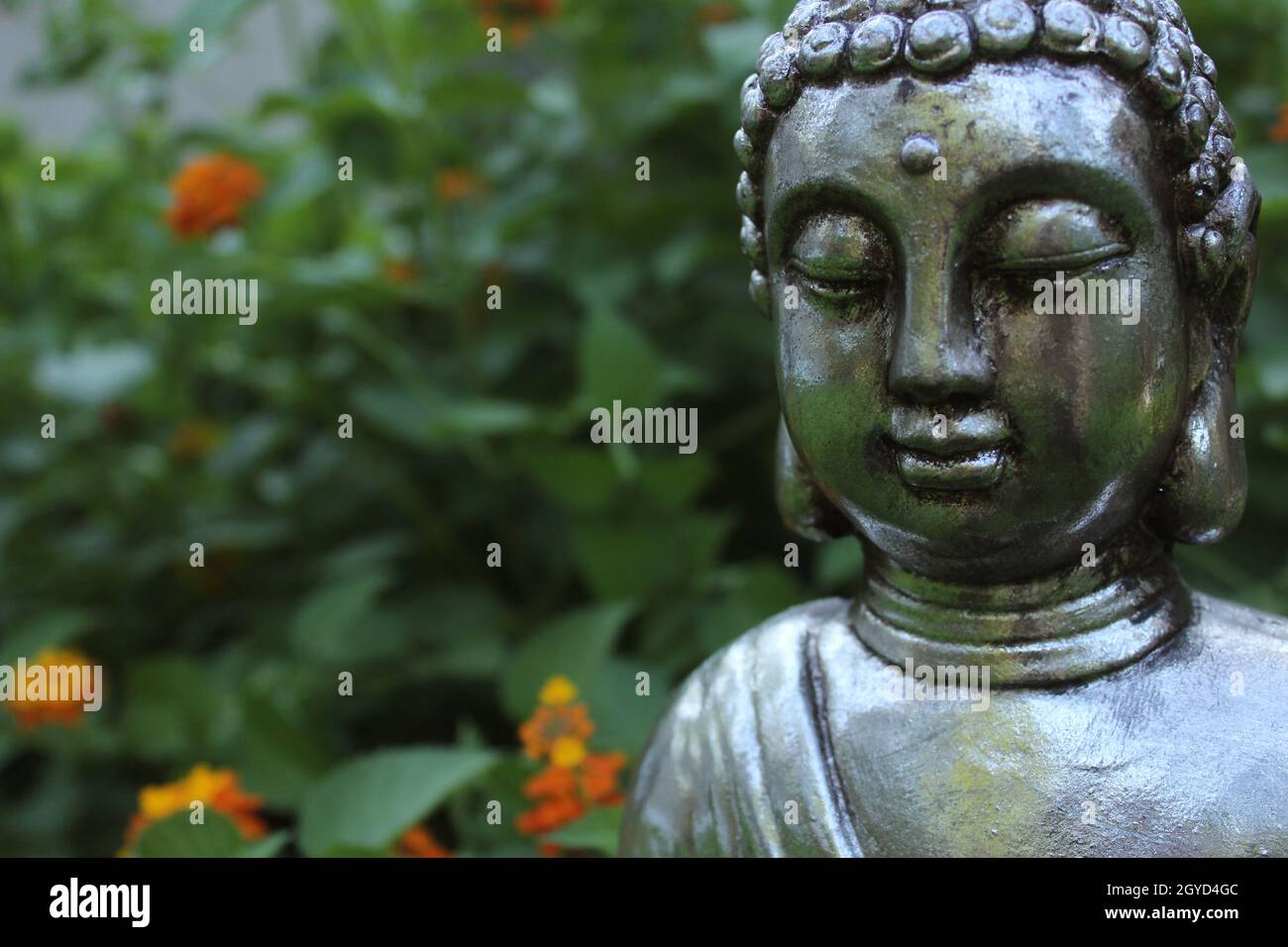 Buddha Statue in Garden with green plants in background Stock Photo - Alamy
