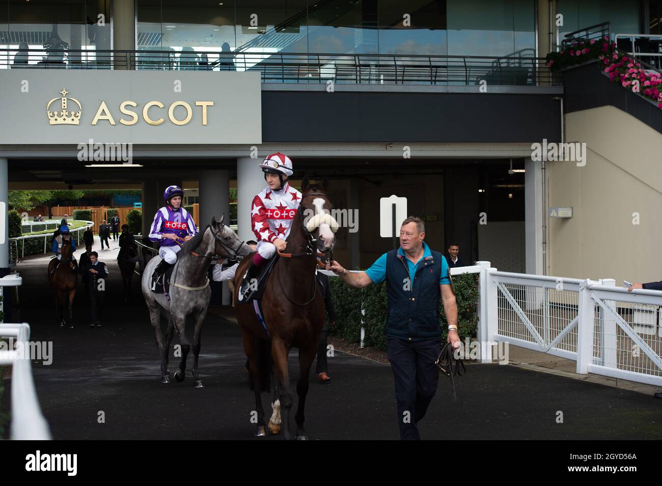 Enigmatic racecourse hi-res stock photography and images - Alamy