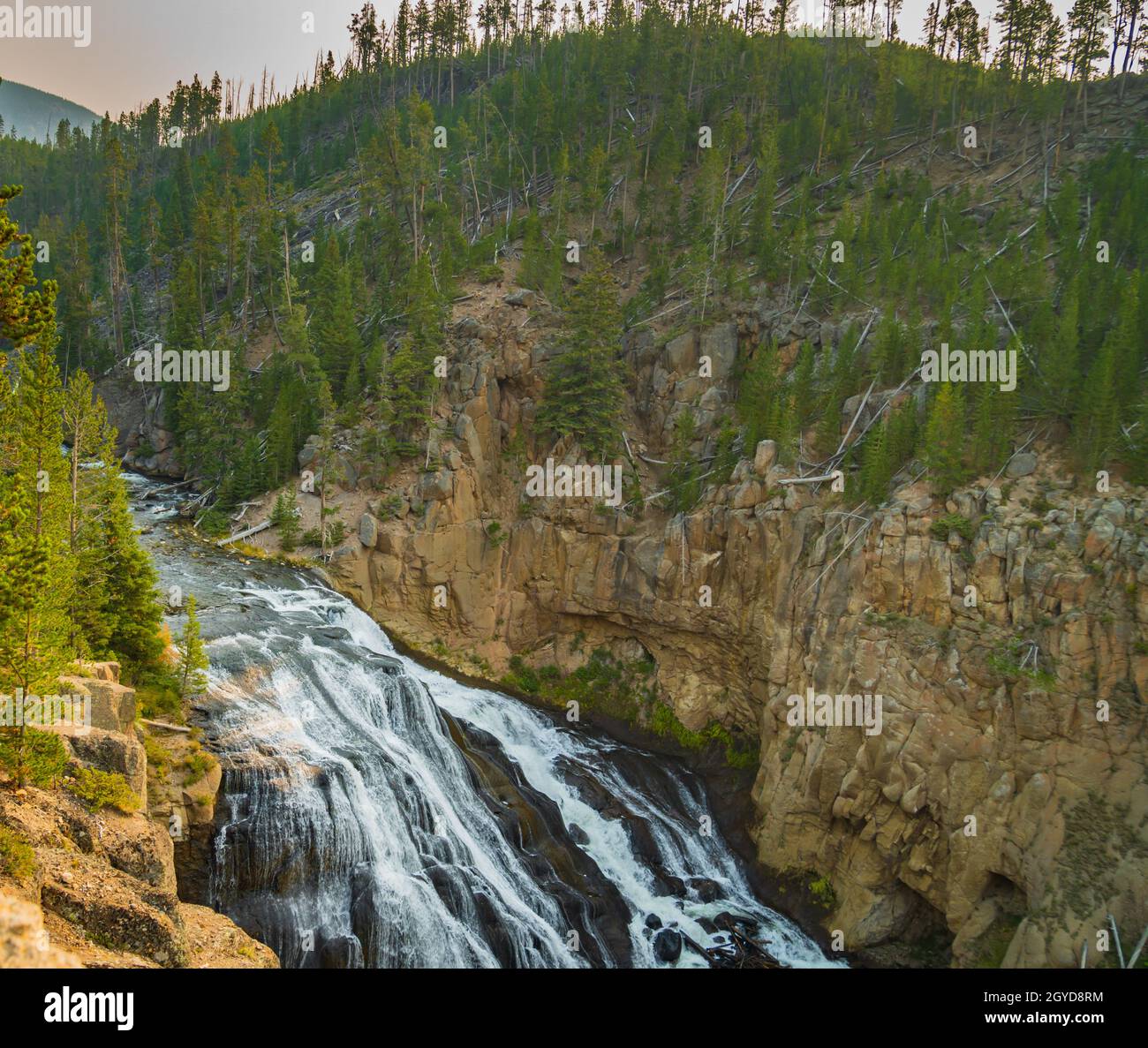 Gibbon Falls  in Yellowstone National Park Stock Photo