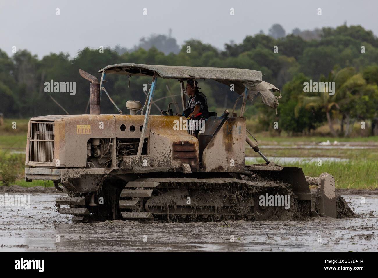 Kota Kinabalu, Sabah, MalaysiaMay 25, 2021 Local Rural lifestyle