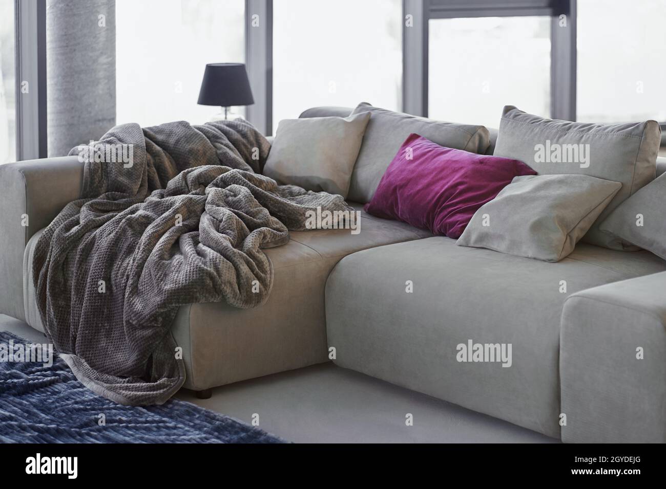 Cozy 2024 grey couch