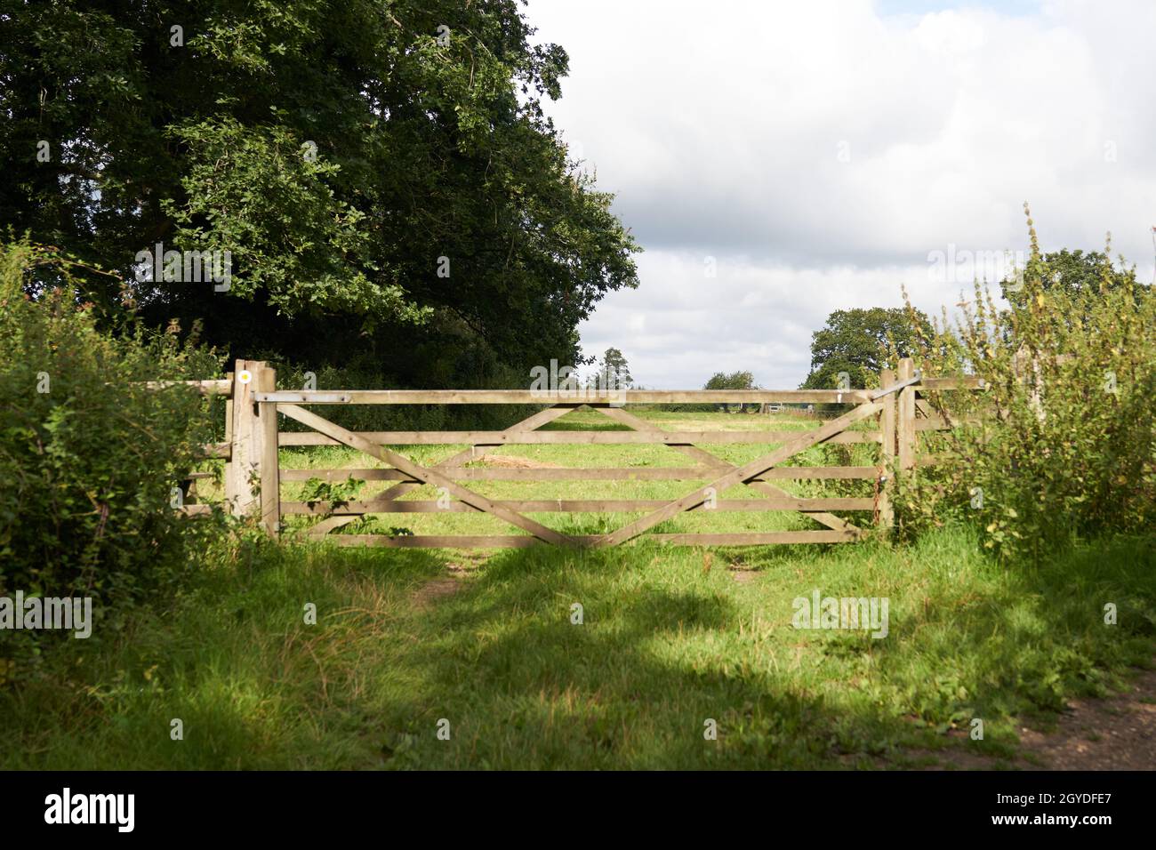 Wooden fence in a green park Stock Photo - Alamy