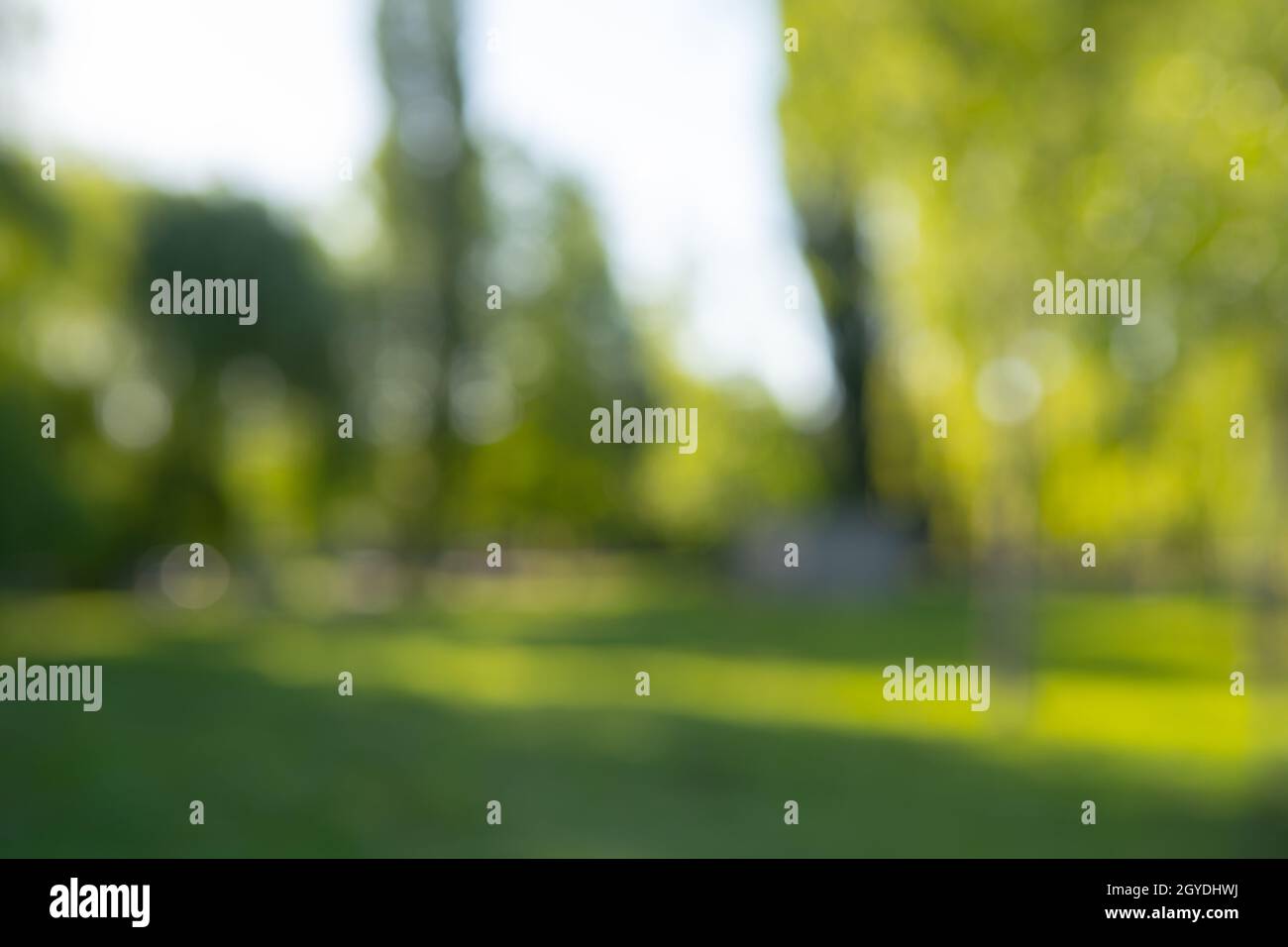 Abstract blur city park bokeh for a background Stock Photo - Alamy