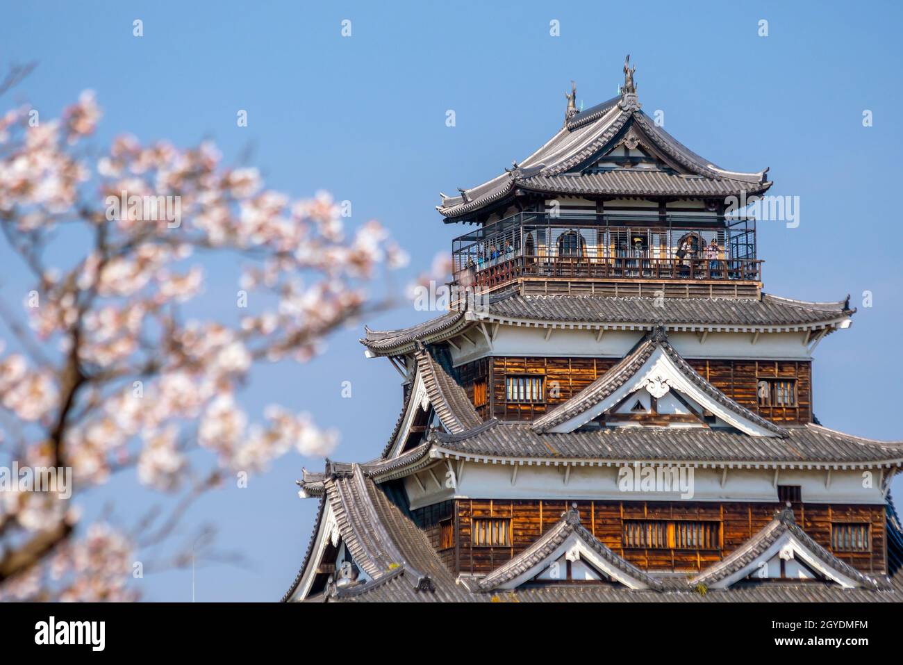 Hiroshima Castle During Cherry Blossom Season in Japan Stock Photo