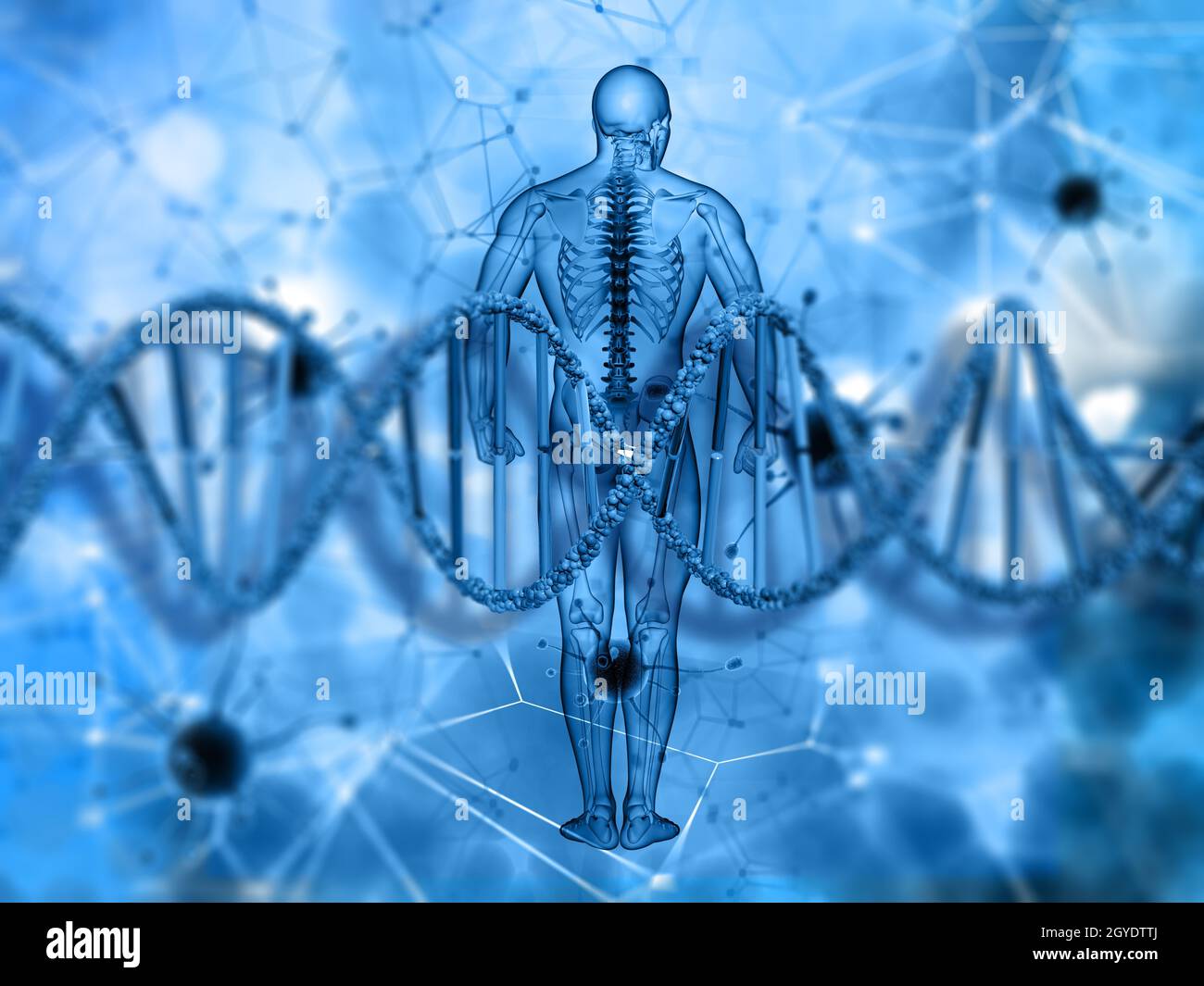 3D render of a medical background with male figure and DNA strand Stock Photo