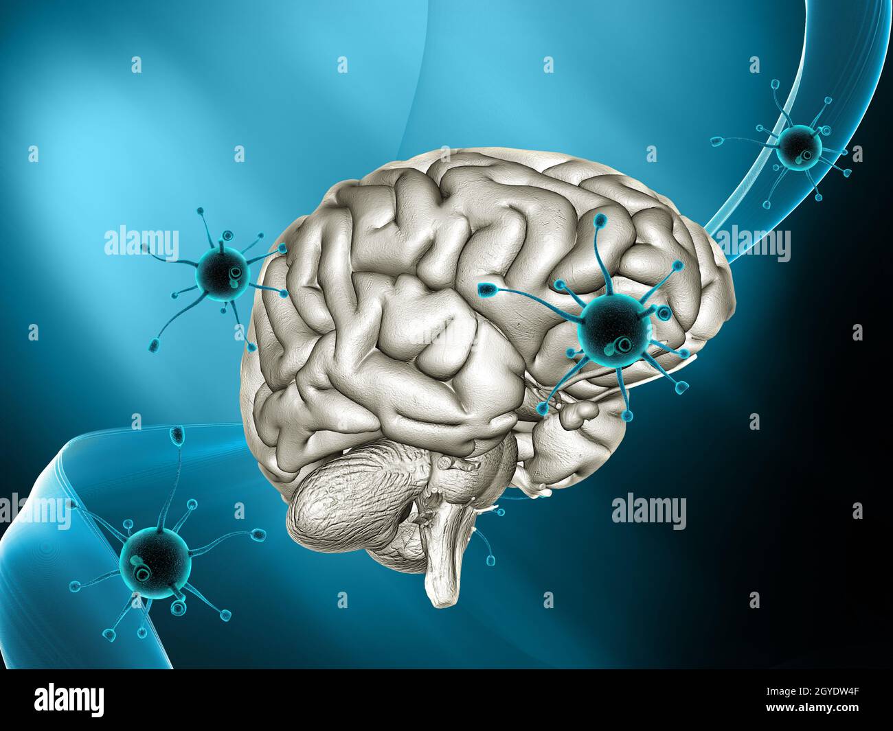 3D render of a medical background with virus cells attacking a brain Stock Photo