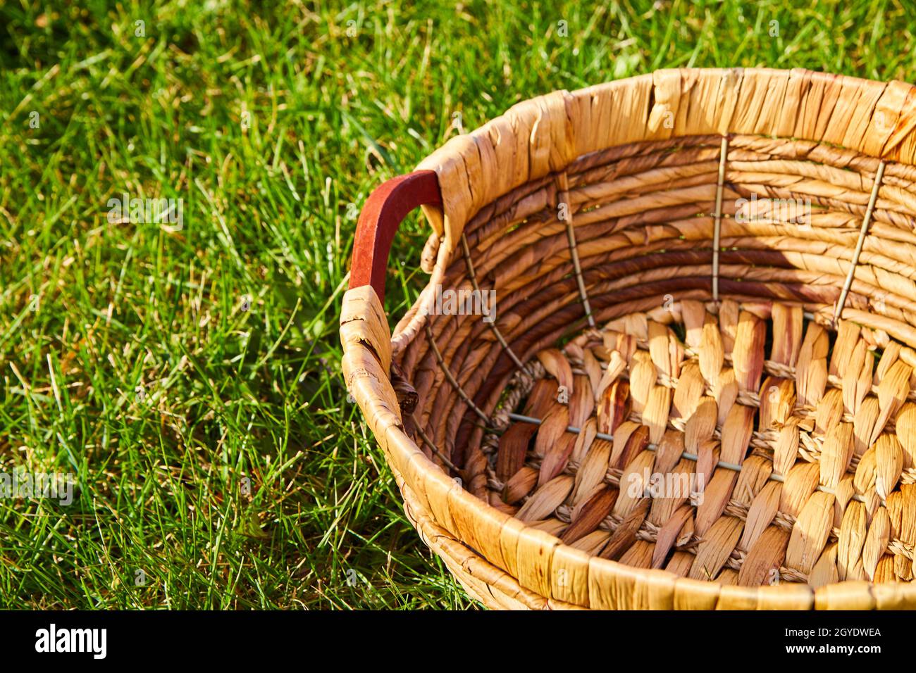 Empty woven basket sitting in field of grass Stock Photo Alamy
