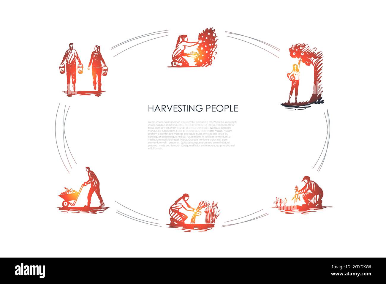 Harvesting people - people picking fruits and carrots, binding grass, carrying and transporting harvest vector concept set. Hand drawn sketch isolated Stock Photo