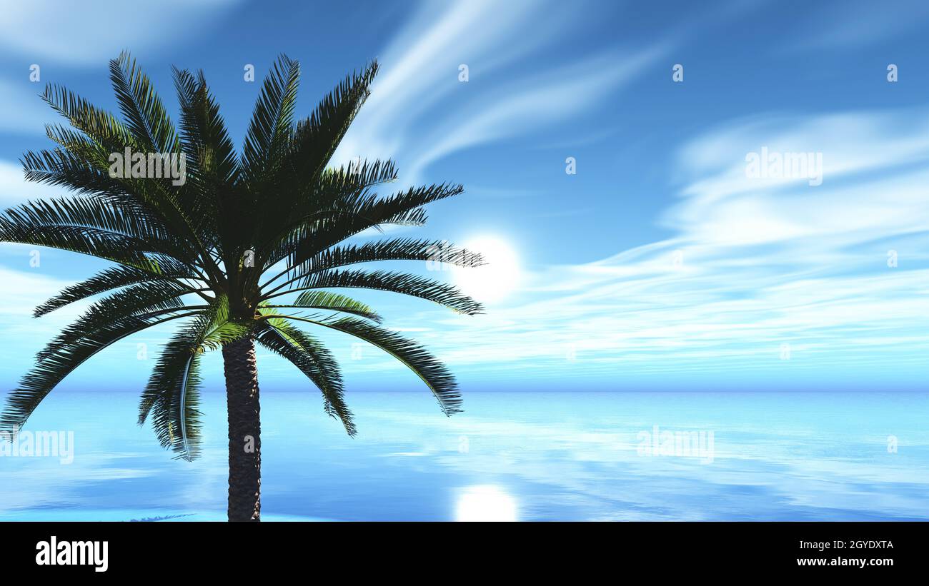 3D render of a tropical landscape with palm tree against ocean Stock ...