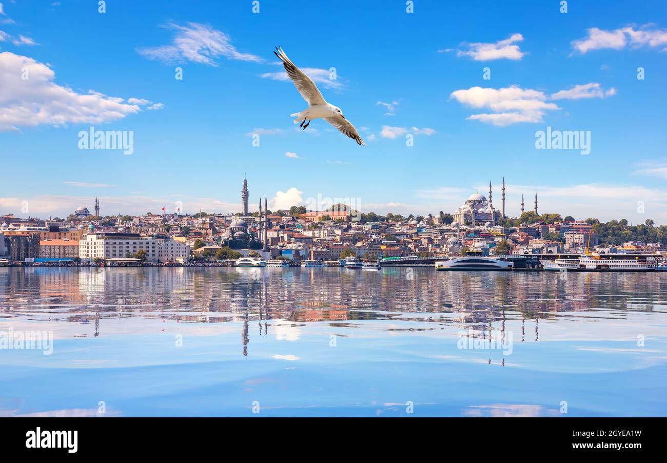 Seagull flies by the Suleymaniye Mosque in the Bosphorus Straight, Istanbul. Stock Photo