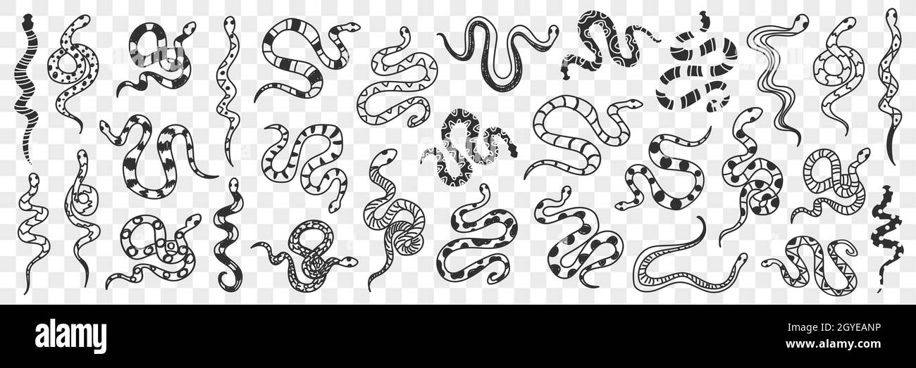 Various snakes of different patterns doodle set. Collection of hand drawn wild snakes cobra python wriggling on ground ready to bite isolated on trans Stock Photo