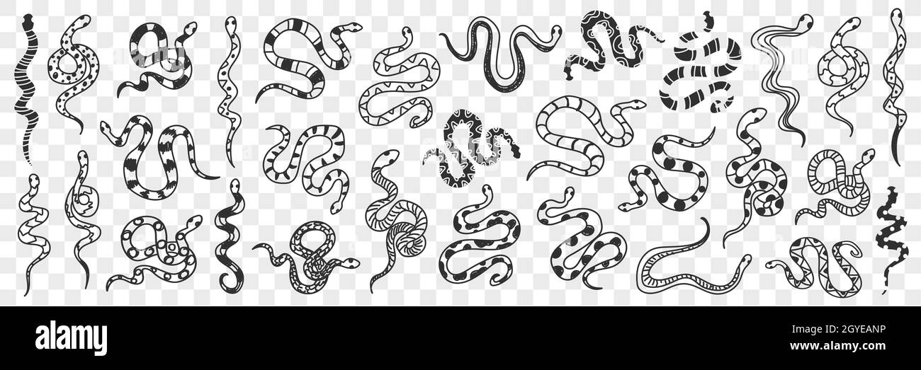 Various snakes of different patterns doodle set. Collection of hand