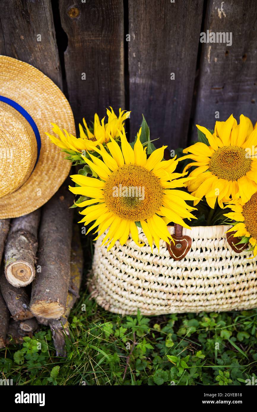 Logs, a hat, a bouquet of sunflowers in a straw bag are standing near a