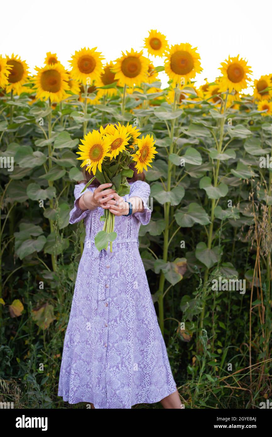 A beautiful young girl in a dress holds a bouquet of sunflowers in her ...