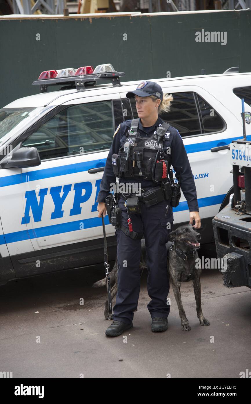 NYPD Emergency Service Canine Patrol officer with dog on the street in midtown Manhattan during the United Nations General Assembly meeting dealing with the climate crisis, Covid and other matters. US President Biden also delivers his first in person speech at the UN. Stock Photo
