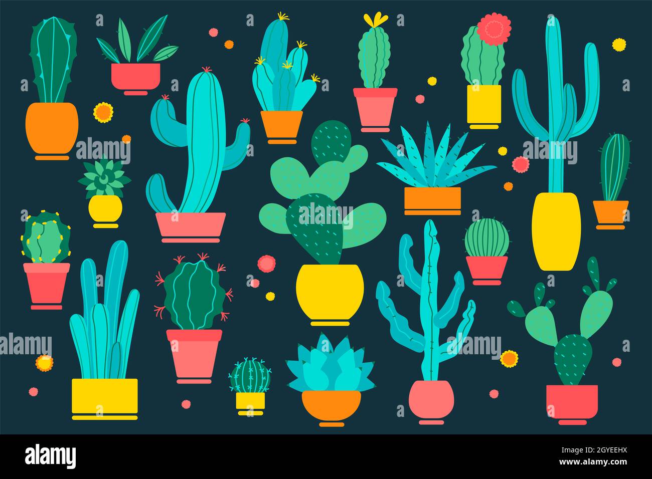 Cacti doodle set. Hand drawn doodle patterns of different shape cactus botany collection on black background. Dessert and house botanical water absorb Stock Photo