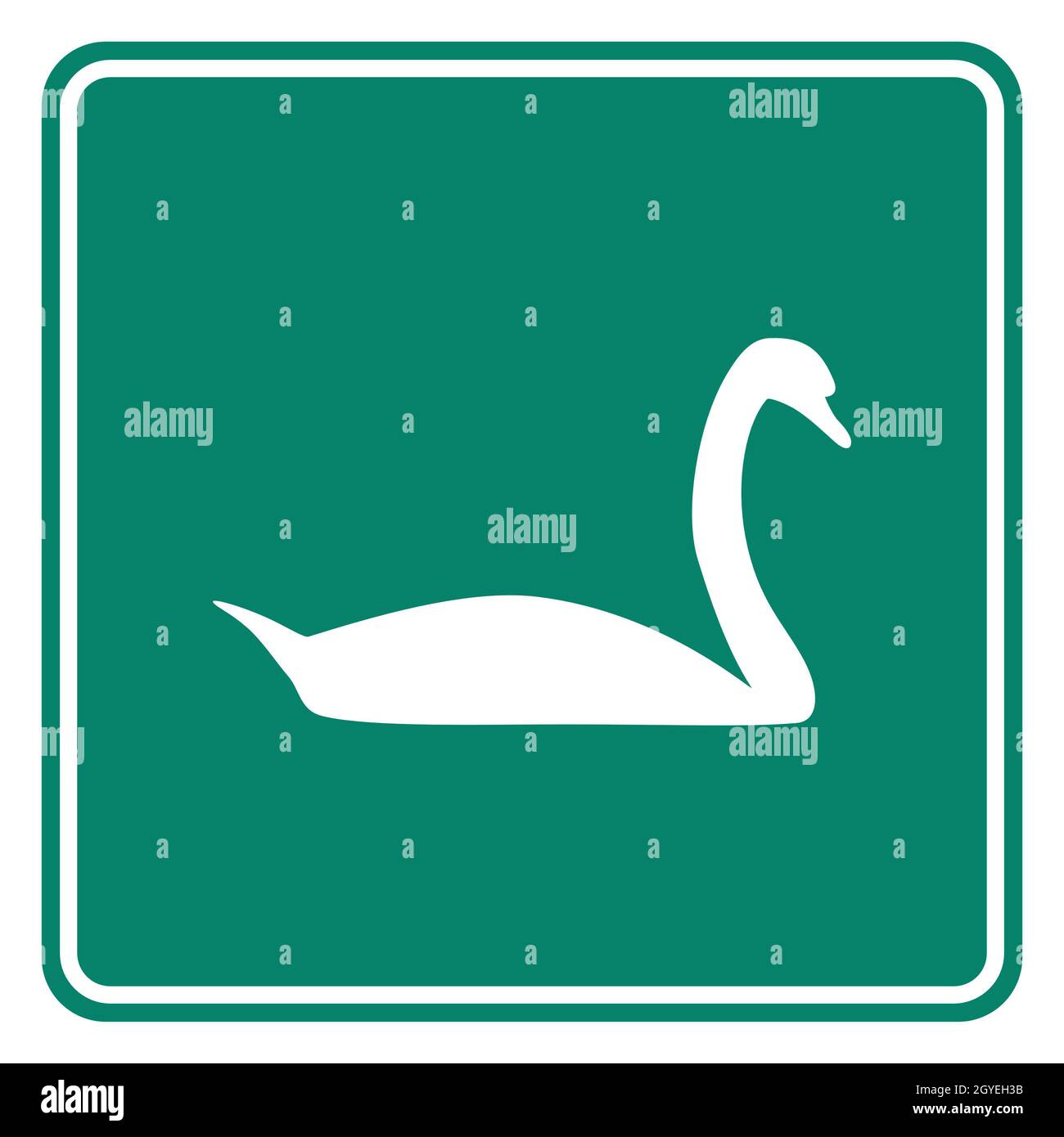 Swan and road sign Stock Photo