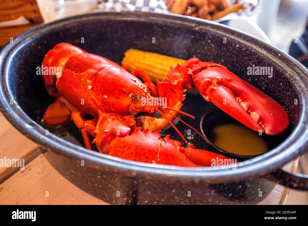 Maine big red lobster served on plate Stock Photo Alamy