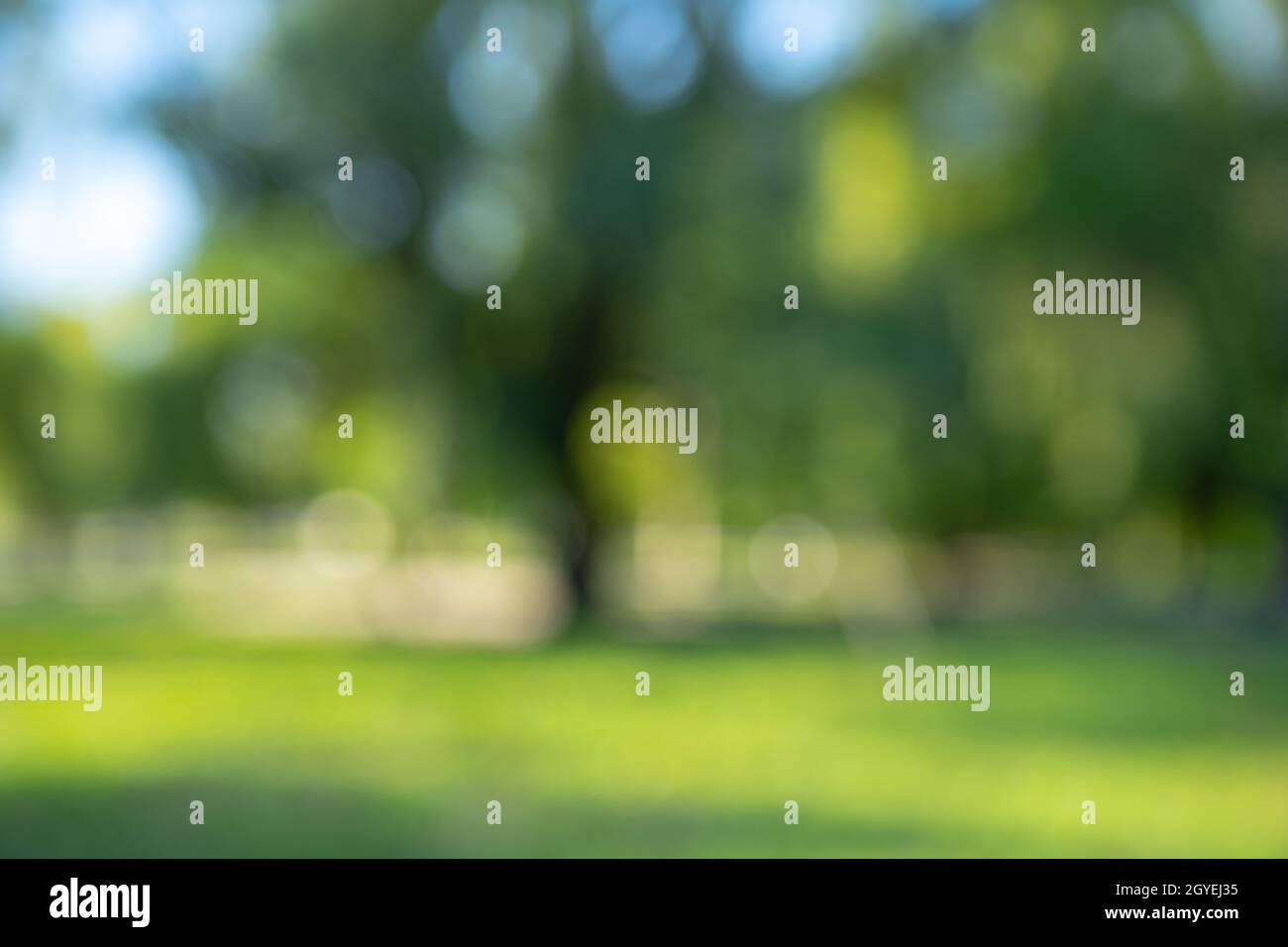 Abstract blur city park bokeh for a background Stock Photo - Alamy