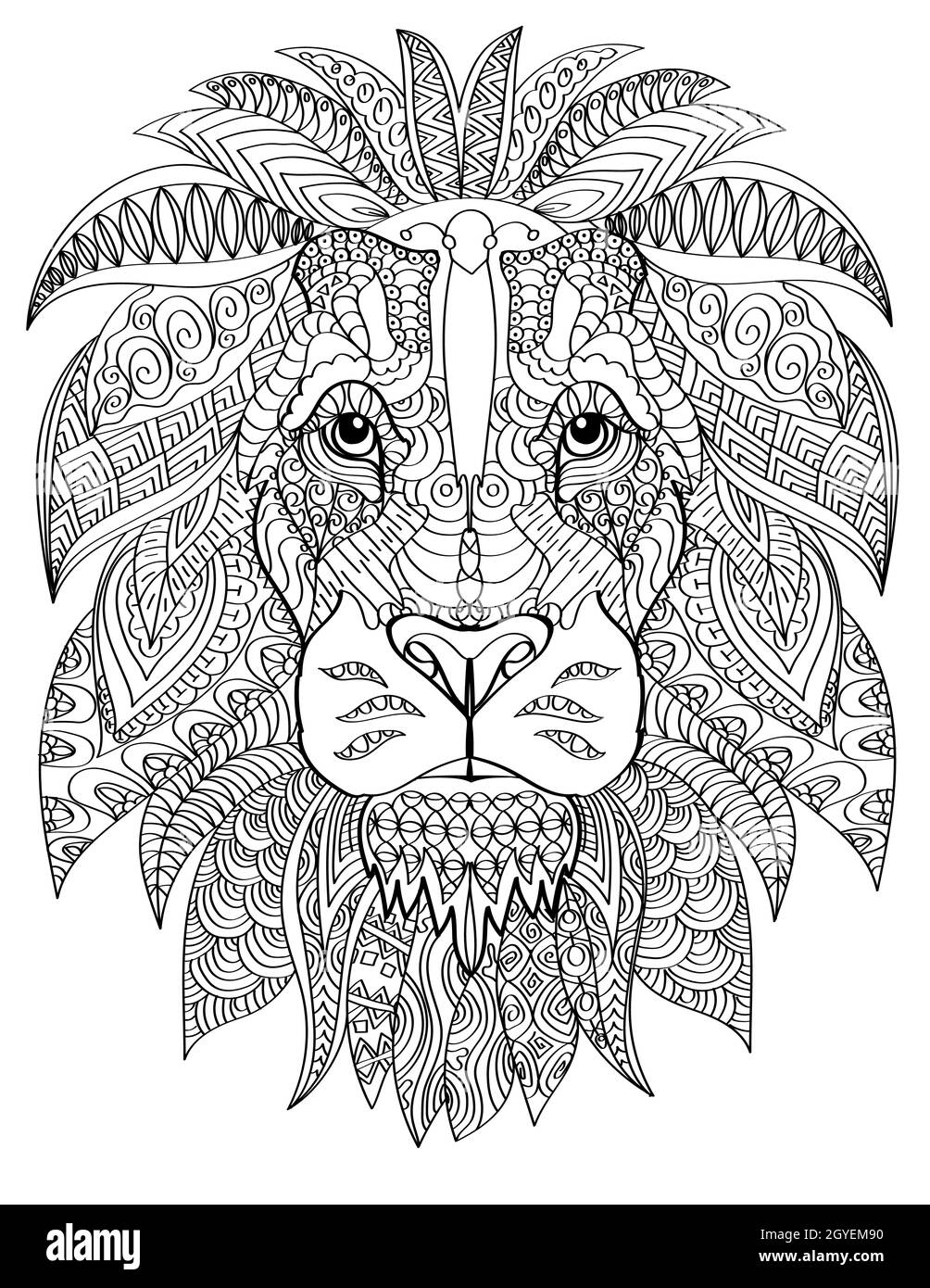 Lion Head Facing Forward With Healthy Furry Mane Colorless Line Drawing. Stock Photo