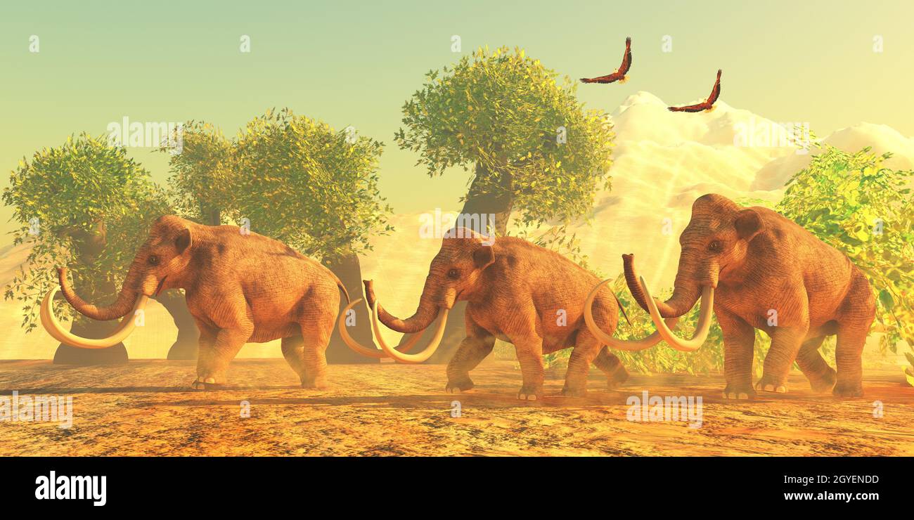 A Columbian Mammoth herd walks among trees in the Pleistocene Period of