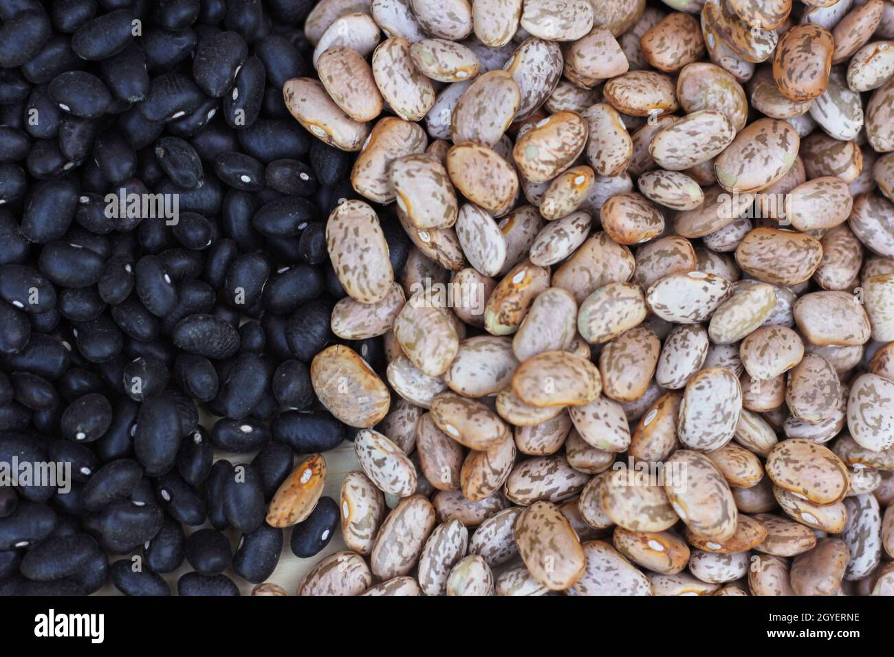 Black Beans and Pinto Beans Spilled on Kitchen Counter Stock Photo Alamy