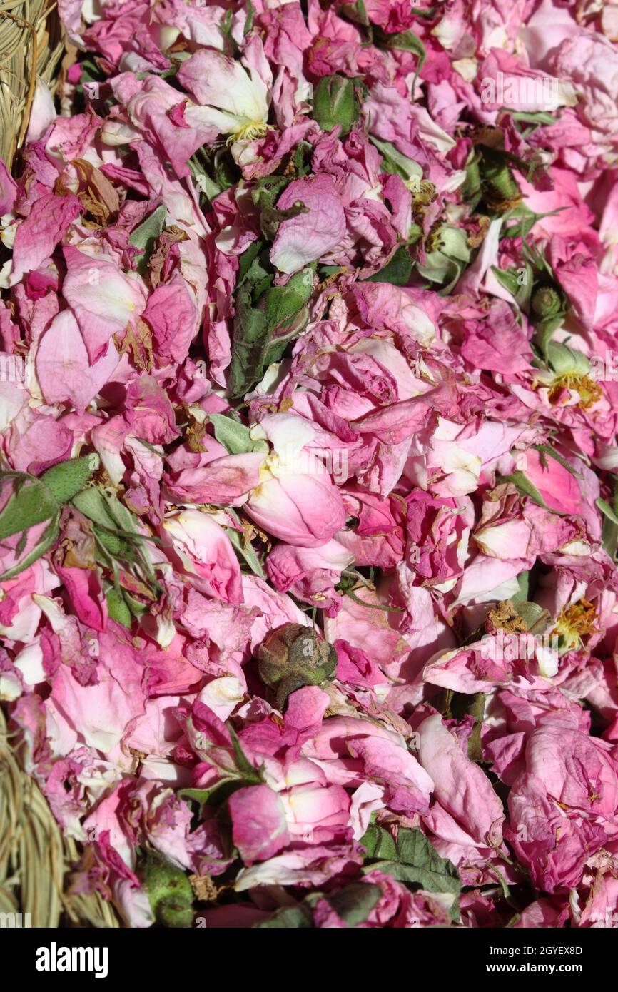 Rose petals for sale in a market stall Stock Photo Alamy