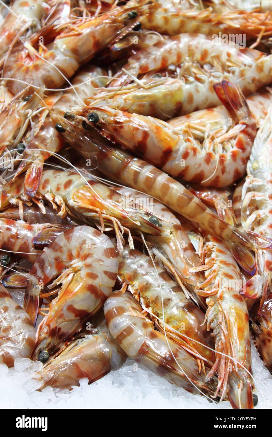 Shrimp or krill for sale in a fish market Stock Photo