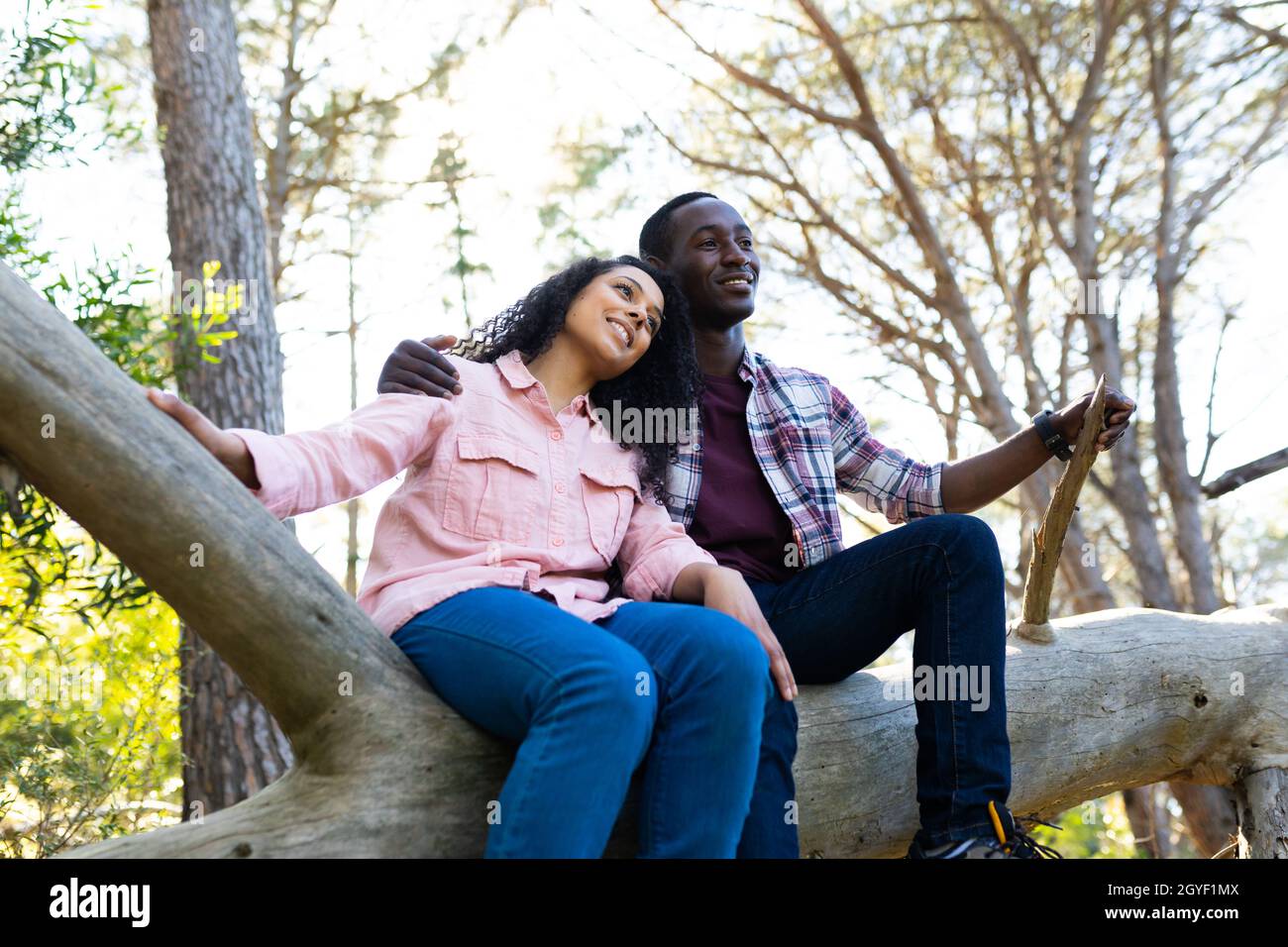 Diverse couple sitting on branch in the forest Stock Photo