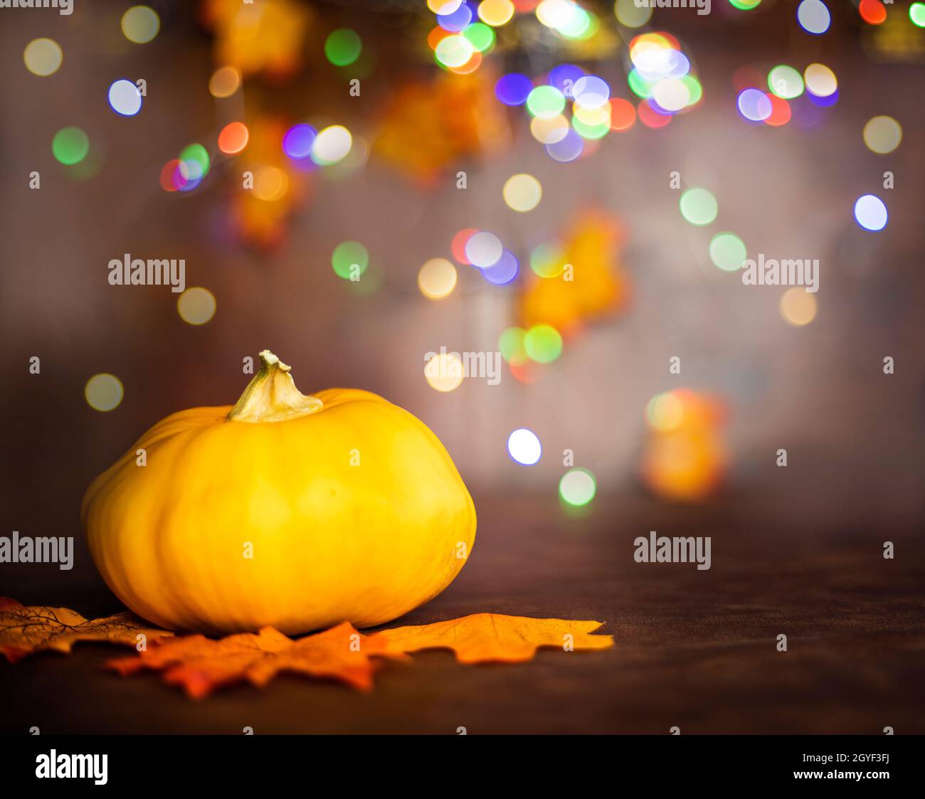 pumpkin on autumn leaves. bokeh background with copy space, colorful ...